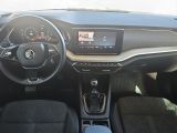 Skoda Octavia bei Gebrauchtwagen.expert - Abbildung (12 / 15) Skoda Octavia bei Gebrauchtwagen.expert - Abbildung (12 / 15)