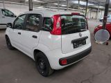 Fiat Panda bei Gebrauchtwagen.expert - Abbildung (4 / 12)