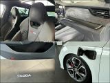Skoda Octavia RS bei Gebrauchtwagen.expert - Abbildung (12 / 14)