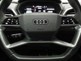 Audi e-tron bei Gebrauchtwagen.expert - Abbildung (12 / 15)