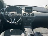 Mercedes-Benz B-Klasse bei Gebrauchtwagen.expert - Abbildung (14 / 15)