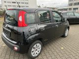 Fiat Panda bei Gebrauchtwagen.expert - Abbildung (3 / 11)