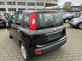 Fiat Panda bei Gebrauchtwagen.expert - Abbildung (4 / 11)