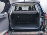 Ford EcoSport bei Gebrauchtwagen.expert - Abbildung (6 / 15) Ford EcoSport bei Gebrauchtwagen.expert - Abbildung (6 / 15)