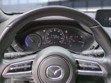 Mazda MX-30 bei Gebrauchtwagen.expert - Abbildung (15 / 15)