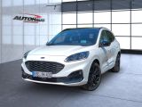 Ford Kuga bei Gebrauchtwagen.expert - Abbildung (2 / 15)