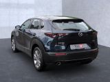 Mazda CX-30 bei Gebrauchtwagen.expert - Abbildung (3 / 15)