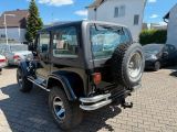 Jeep Wrangler bei Gebrauchtwagen.expert - Abbildung (6 / 11)
