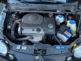 VW Lupo bei Gebrauchtwagen.expert - Abbildung (7 / 7)
