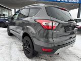 Ford Kuga bei Gebrauchtwagen.expert - Abbildung (4 / 15) Ford Kuga bei Gebrauchtwagen.expert - Abbildung (4 / 15)
