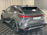 Lexus RX bei Gebrauchtwagen.expert - Abbildung (6 / 15)