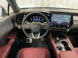 Lexus RX bei Gebrauchtwagen.expert - Abbildung (13 / 15)