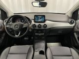 Mercedes-Benz B-Klasse bei Gebrauchtwagen.expert - Abbildung (12 / 15)
