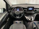Mercedes-Benz V-Klasse bei Gebrauchtwagen.expert - Abbildung (12 / 15)