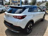 Opel Grandland X bei Gebrauchtwagen.expert - Abbildung (4 / 15)