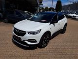 Opel Grandland X bei Gebrauchtwagen.expert - Abbildung (2 / 15)