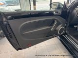VW Beetle bei Gebrauchtwagen.expert - Abbildung (14 / 15)