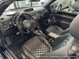 VW Beetle bei Gebrauchtwagen.expert - Abbildung (13 / 15)