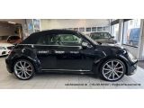 VW Beetle bei Gebrauchtwagen.expert - Abbildung (6 / 15)