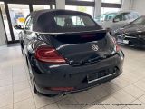 VW Beetle bei Gebrauchtwagen.expert - Abbildung (8 / 15)