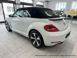 VW Beetle bei Gebrauchtwagen.expert - Abbildung (9 / 15)