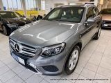 Mercedes-Benz GLC 300 4Matic Exclusive bei Gebrauchtwagen.expert - Abbildung (4 / 15)