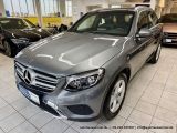 Mercedes-Benz GLC 300 4Matic Exclusive bei Gebrauchtwagen.expert - Abbildung (5 / 15)