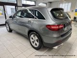 Mercedes-Benz GLC 300 4Matic Exclusive bei Gebrauchtwagen.expert - Abbildung (11 / 15)