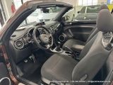 VW Beetle bei Gebrauchtwagen.expert - Abbildung (12 / 15)