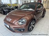 VW Beetle bei Gebrauchtwagen.expert - Abbildung (4 / 15)