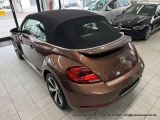 VW Beetle bei Gebrauchtwagen.expert - Abbildung (10 / 15)