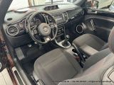 VW Beetle bei Gebrauchtwagen.expert - Abbildung (13 / 15)