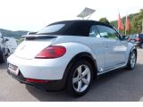 VW Beetle bei Gebrauchtwagen.expert - Abbildung (8 / 15)