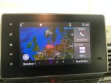 Renault Trafic bei Gebrauchtwagen.expert - Abbildung (14 / 15)