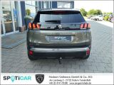 Peugeot 3008 bei Gebrauchtwagen.expert - Abbildung (11 / 15)