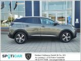 Peugeot 3008 bei Gebrauchtwagen.expert - Abbildung (12 / 15)