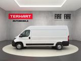 Fiat Ducato bei Gebrauchtwagen.expert - Abbildung (2 / 15)