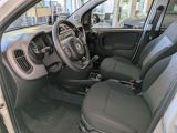 Fiat Panda bei Gebrauchtwagen.expert - Abbildung (9 / 15)