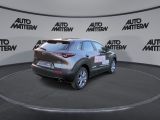 Mazda CX-30 bei Gebrauchtwagen.expert - Abbildung (6 / 15)
