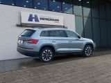 Skoda Kodiaq bei Gebrauchtwagen.expert - Abbildung (5 / 14)