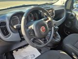 Fiat Panda bei Gebrauchtwagen.expert - Abbildung (14 / 15) Fiat Panda bei Gebrauchtwagen.expert - Abbildung (14 / 15)