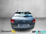 Citroen C4 Cactus bei Gebrauchtwagen.expert - Abbildung (6 / 15)