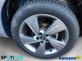 Opel Grandland X bei Gebrauchtwagen.expert - Abbildung (9 / 15)