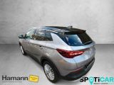Opel Grandland X bei Gebrauchtwagen.expert - Abbildung (7 / 15)