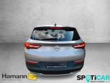 Opel Grandland X bei Gebrauchtwagen.expert - Abbildung (6 / 15)
