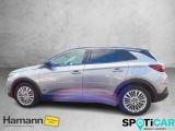 Opel Grandland X bei Gebrauchtwagen.expert - Abbildung (8 / 15)