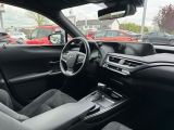 Lexus UX bei Gebrauchtwagen.expert - Abbildung (11 / 15)