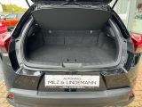 Lexus UX bei Gebrauchtwagen.expert - Abbildung (8 / 15)