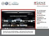 Seat Ibiza bei Gebrauchtwagen.expert - Abbildung (15 / 15)