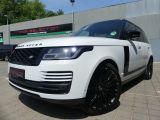 Land Rover Range Rover bei Gebrauchtwagen.expert - Abbildung (2 / 10)